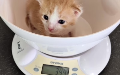 Fabiánek krásně roste