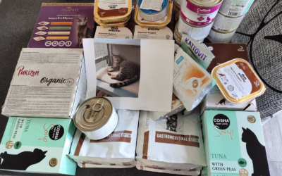 Kočičky moc děkují za papání