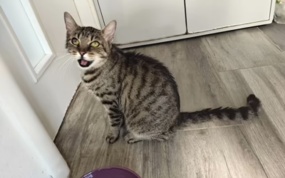 Anežka posílá pozdrav