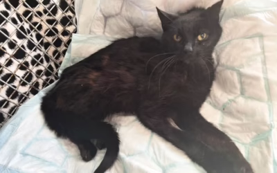 Pozdrav od Prokůpka