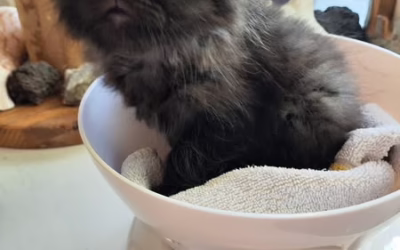 Šimonek také posílá pozdrav :)