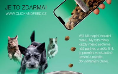 Byli jsme zařazeni do projektu CLICK AND FEED