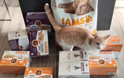 Poděkování za dary