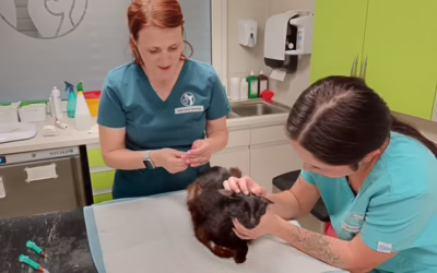 Přinášíme další nové zprávy o Prokůpkovi