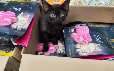 Moc děkujeme projektu NAKRNÁS