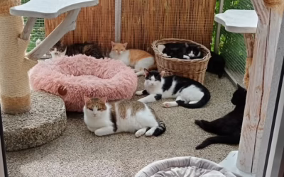 Normální den v depozitu :D