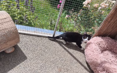 Albertka čeká na svého páníčka