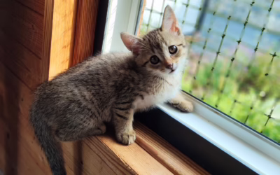 Dneska vás zdrzaví maličký Bertík