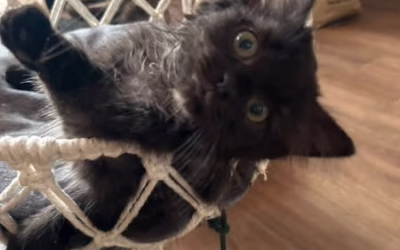 A do třetice odjel domů také Šimonek