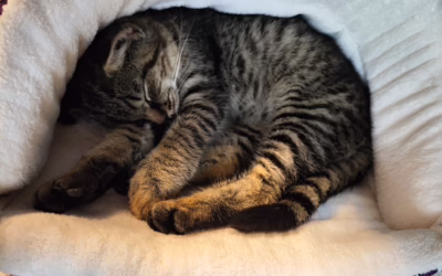 Někdo odjel domů, a někdo zase dorazil….další nový příjem