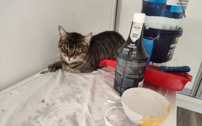 V depozitu se pořád pracuje