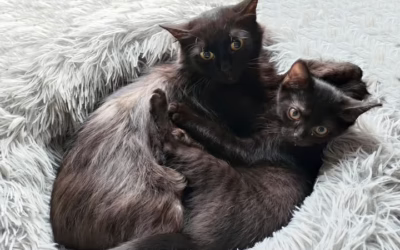 Maminka Odettka s Kubíčkem