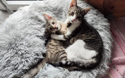 Mánička a Pepíček