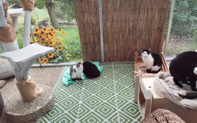 Pohodička na terásce