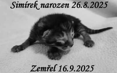 Bohužel máme dnes i smutnou zprávu :(
