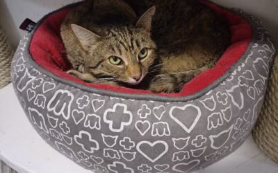 Romanka přeje dobrou noc