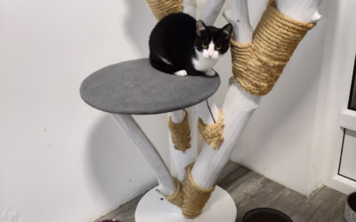 Dobrou noc přeje Albertka