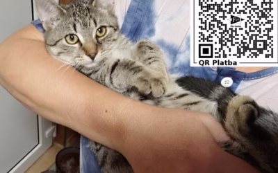 Kocourek týdne: Ríšánek