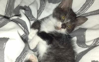 Prskal Hugoušek mazlíkem