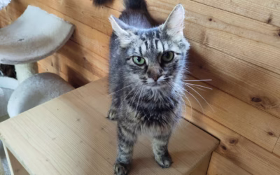 Všechny moc zdraví Májinka!