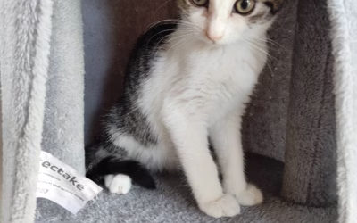 Dobrou noc přeje Dášenka