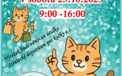 Jak jsme včera připravovali bazárek? Přijďte dnes za námi!