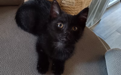 Krásný den přeje Jája