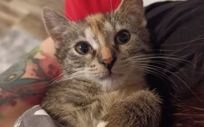 Krásný den přeje Boženka