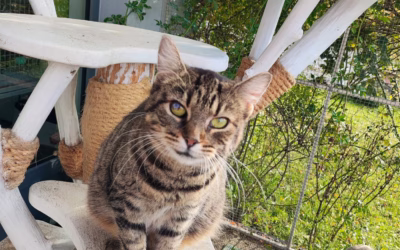 Anežka si dnes užívala teplíčka