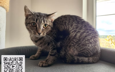 Kočička týdne: Alžbětka