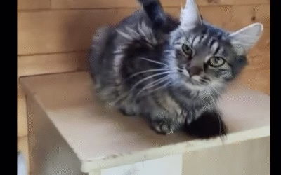 Jak se dnes máme v depozitu