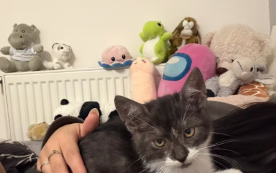 Do nového domova odjel Hugoušek