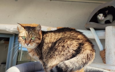 Krásný slunečný den v depozitu