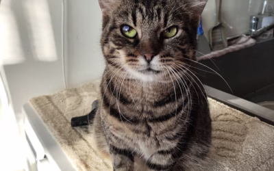 Anežka nám narostla