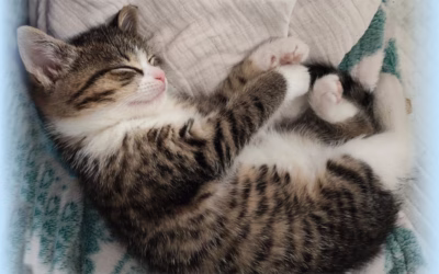 Dobrou noc přeje Pavlínka