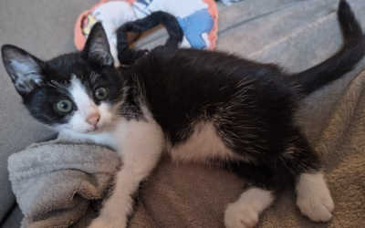 Zuzanka přeje krásnou sobotu