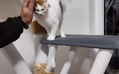 Mirečka je na chlapy!