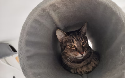 V depozitu se nám tvoří fronty