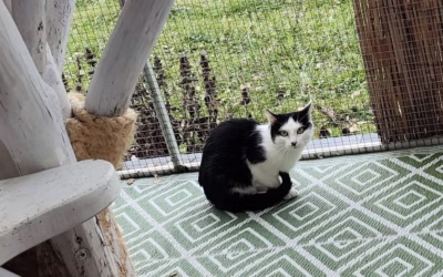 Meteorolog Gabrielek