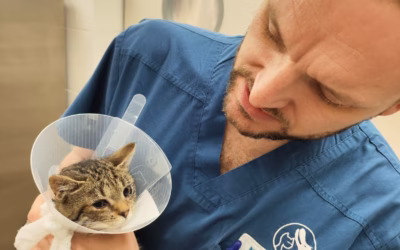 Fanoušek je po operaci