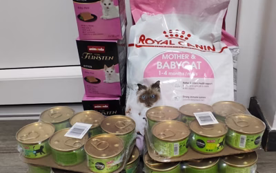 Koťátka moc děkují