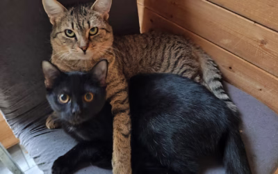 Také si myslíte, jak se kluci hezky objímají?