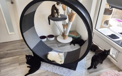 Mikkoušek v jednom kole