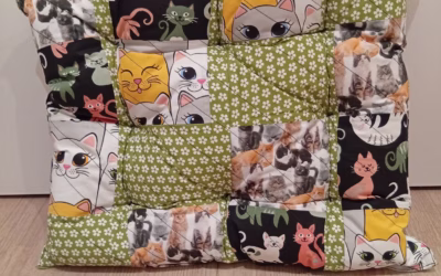 Aukce ve prospěch našich kočiček