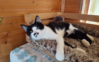 Berenička by moc ráda odešla do nového domova