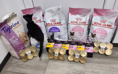 Kočičky moc děkují!