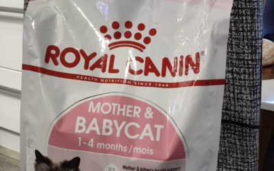 Koťátka moc děkují za granulky