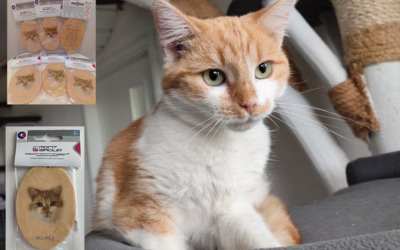 Máte už napečené perníčky?