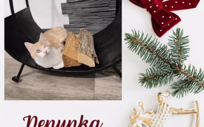 Vánoční nadílka – Denynka