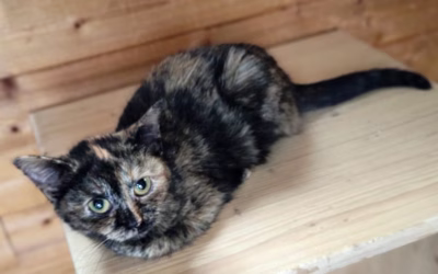 Nový příjem z Pražské zahrádkářské kolonie